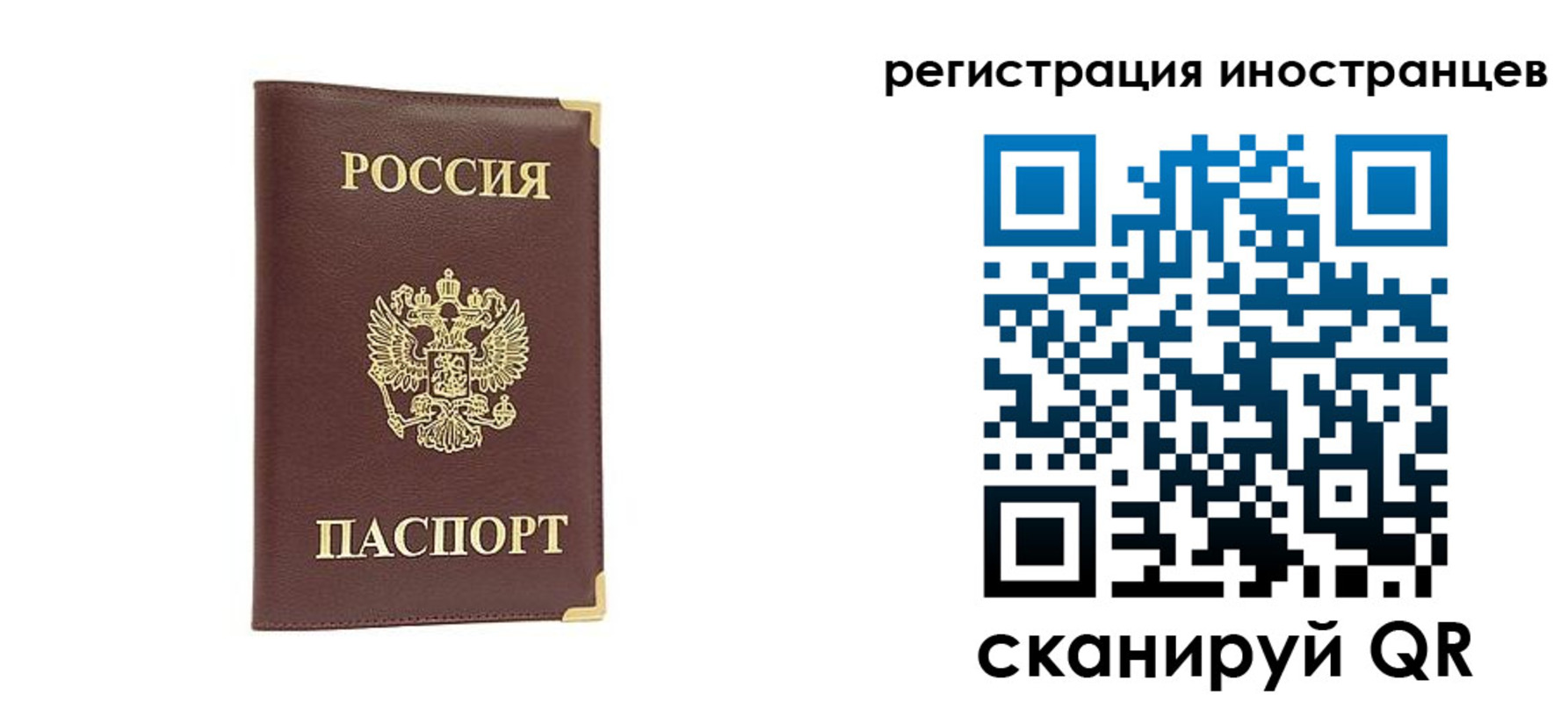 регистрация в Стародубе
